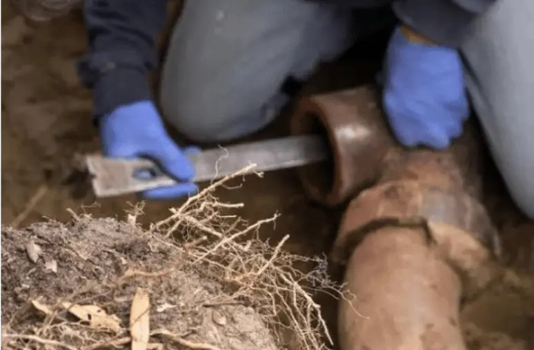 Resolve sewer line issues to protect your property, health, and the environment.